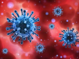 Коронавирусная инфекция (COVID-19)
