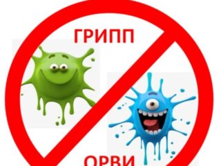 Грипп и его профилактика.
